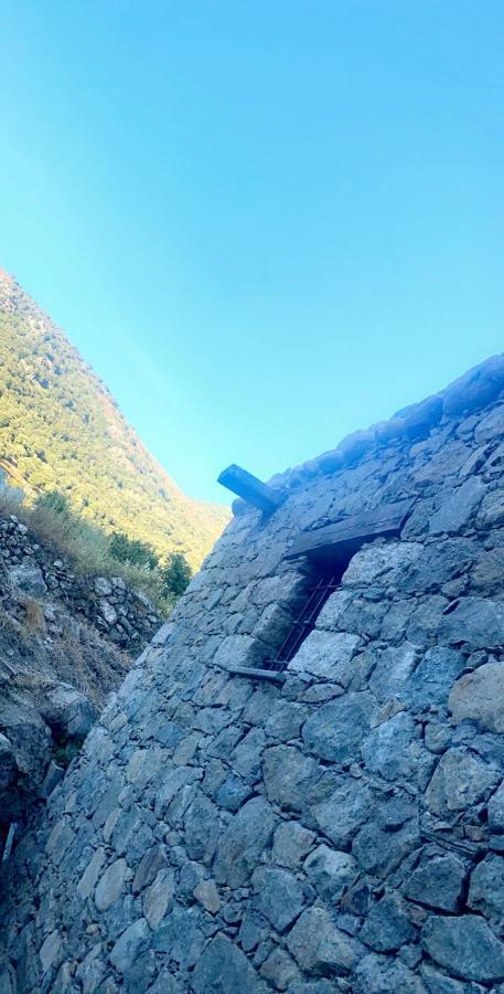 La Bergerie Du Chene Guest House Omessa ภายนอก รูปภาพ