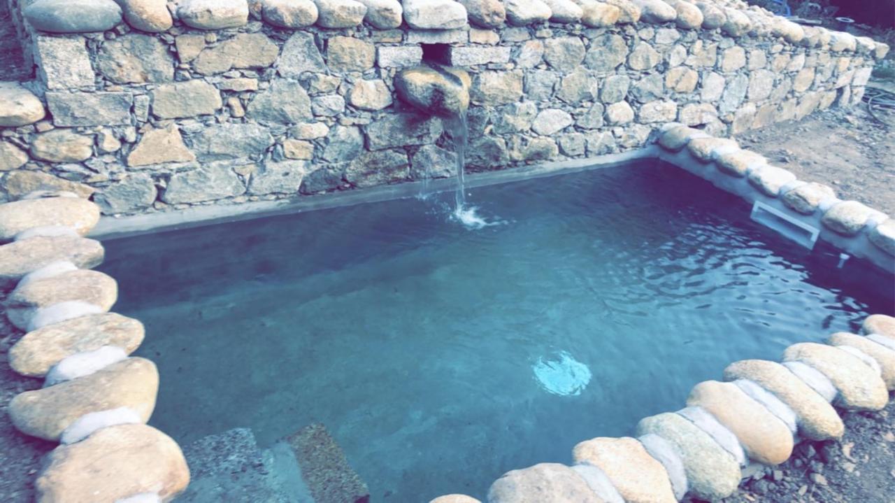 La Bergerie Du Chene Guest House Omessa ภายนอก รูปภาพ
